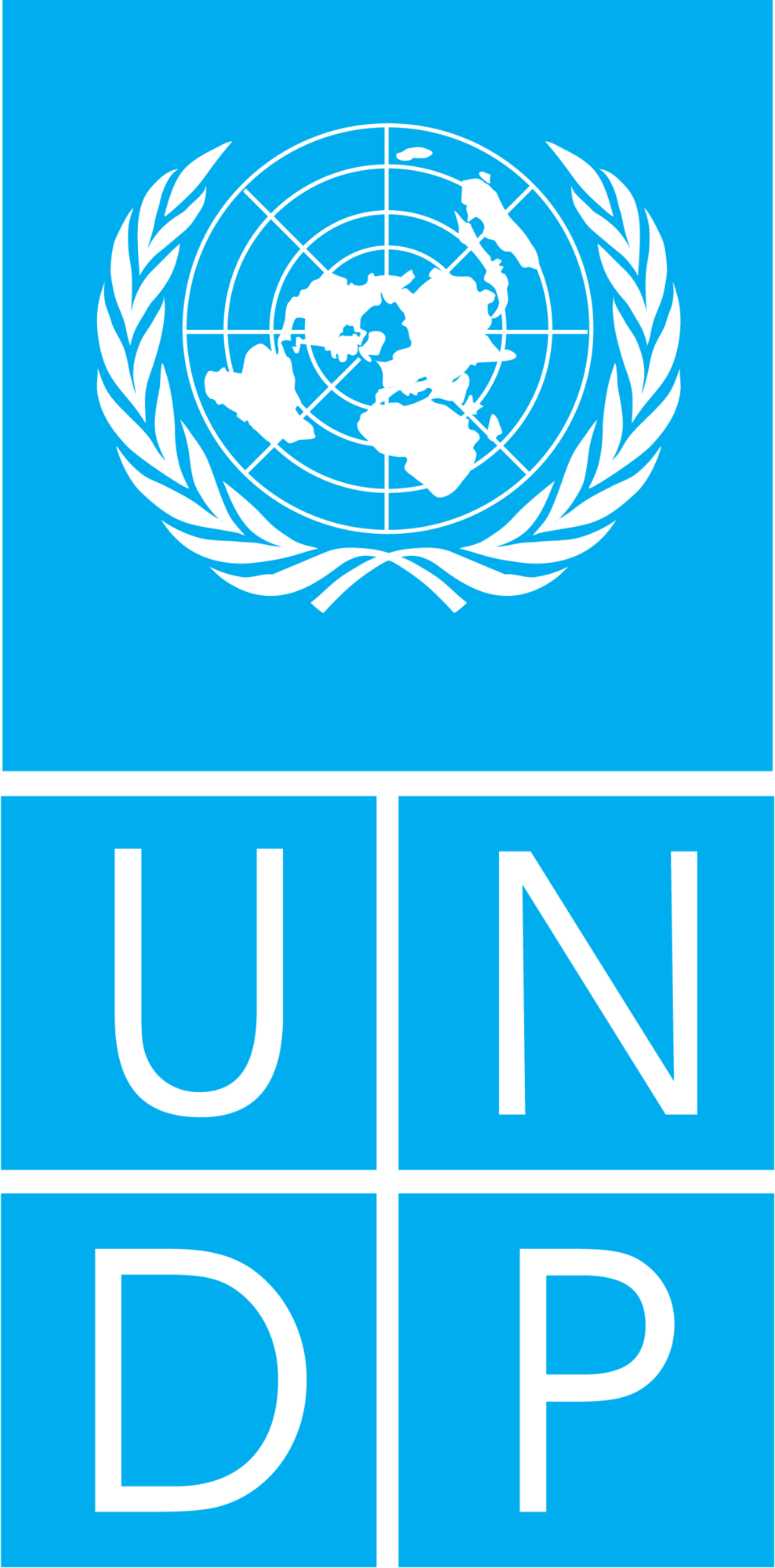 UNDP